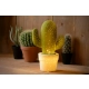 Cactus lampka stołowa ceramiczna E14 13513/01/33 zielona